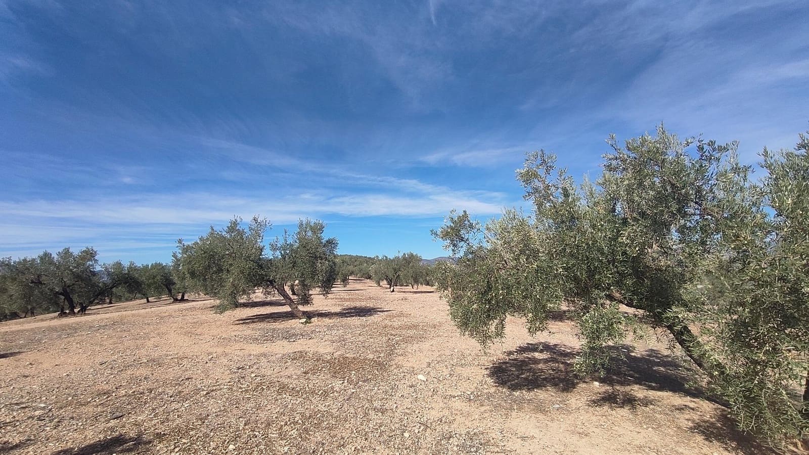 Grunde uden byggetilladelser til salg i Albolote - € 150.000 (Ref: 9344918)