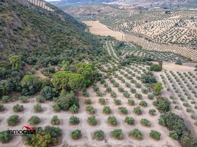 Grunde uden byggetilladelser til salg i Illora - € 199.900 (Ref: 9379227)