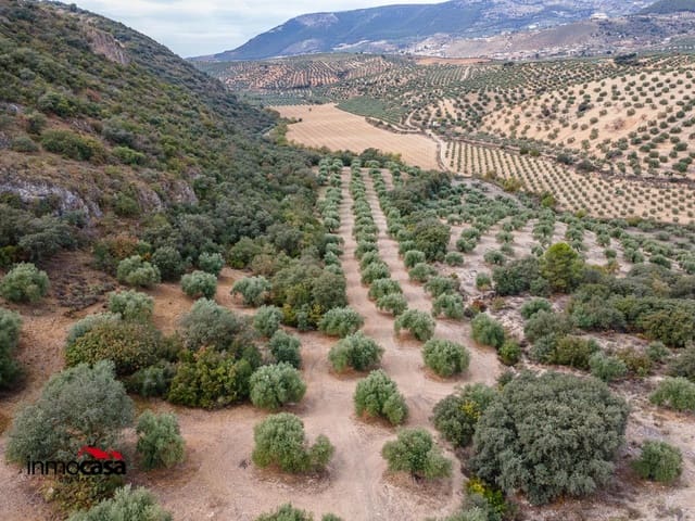 Grunde uden byggetilladelser til salg i Illora - € 199.900 (Ref: 9379227)