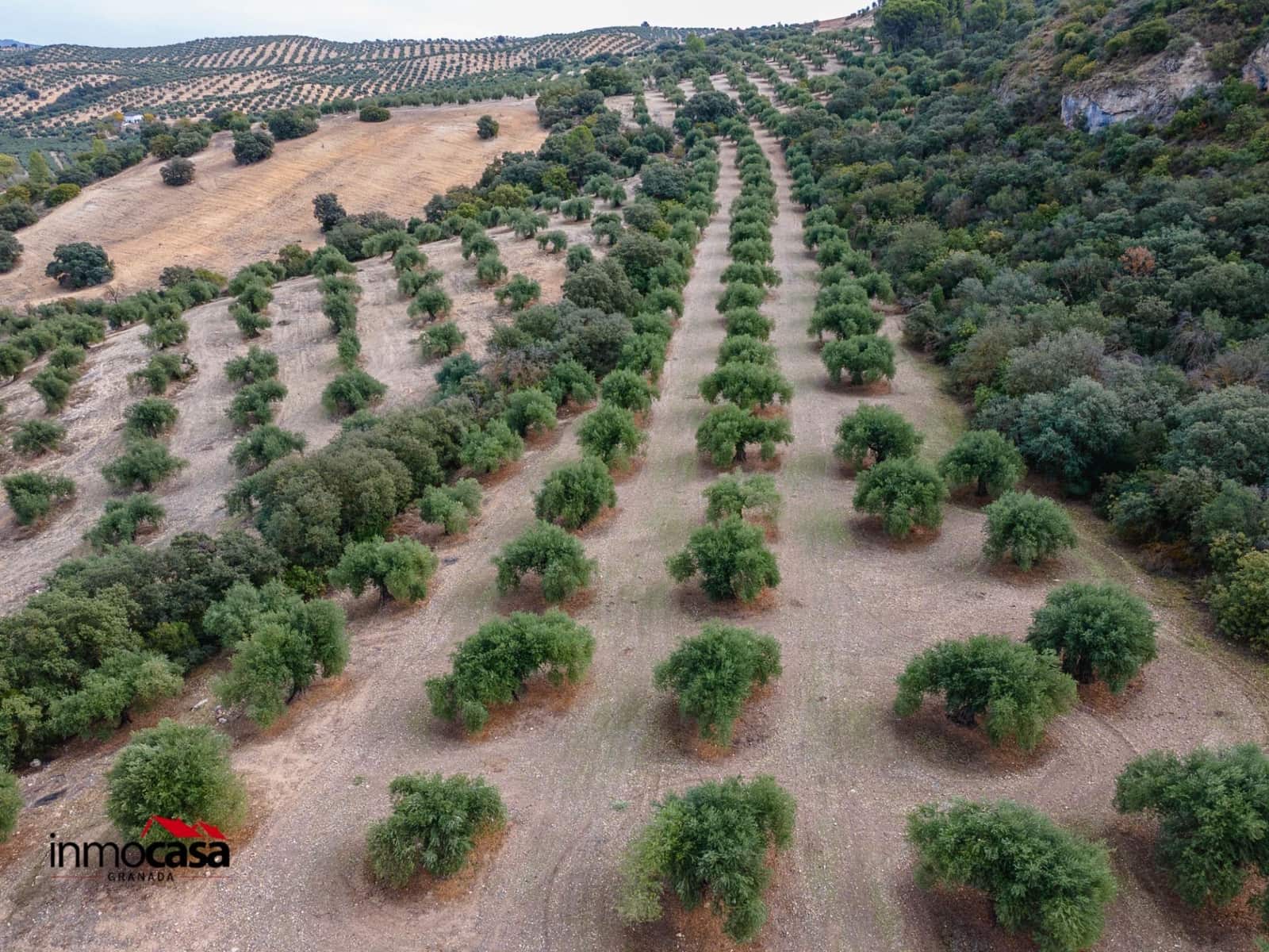 Teren niezagospodarowany na sprzedaż w Illora - 199 900 € (Ref: 9379227)