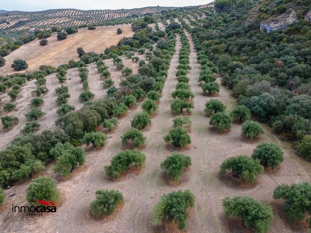 Grunde uden byggetilladelser til salg i Illora - € 199.900 (Ref: 9379227)