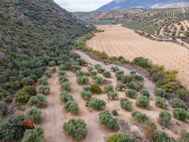 Grunde uden byggetilladelser til salg i Illora - € 199.900 (Ref: 9379227)