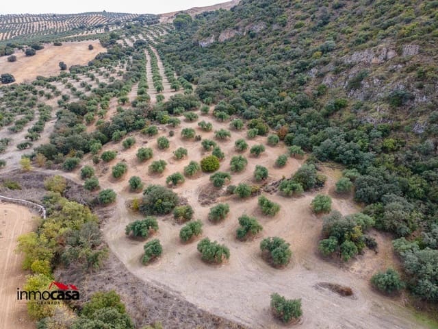 Grunde uden byggetilladelser til salg i Illora - € 199.900 (Ref: 9379227)