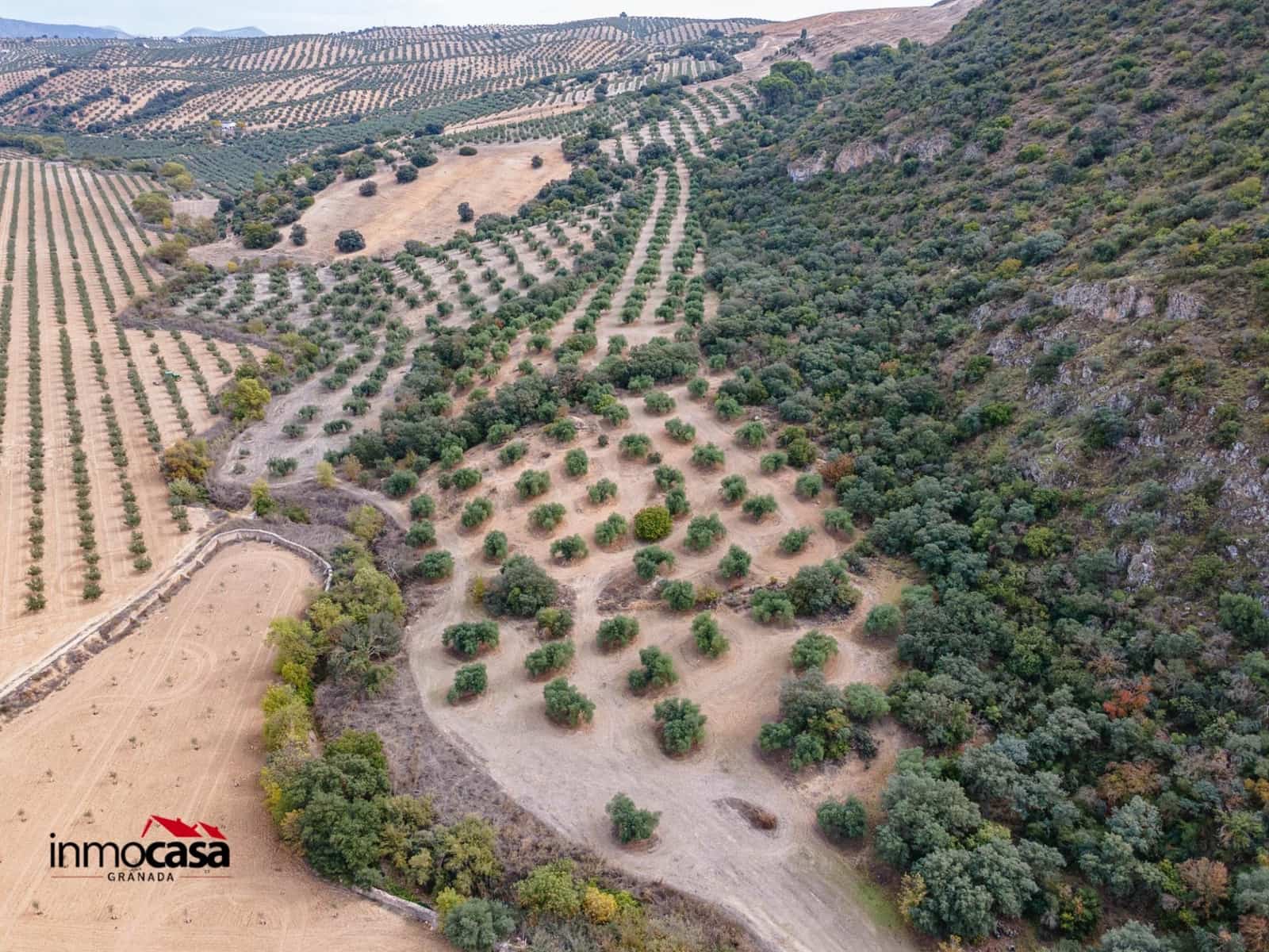 Teren niezagospodarowany na sprzedaż w Illora - 199 900 € (Ref: 9379227)