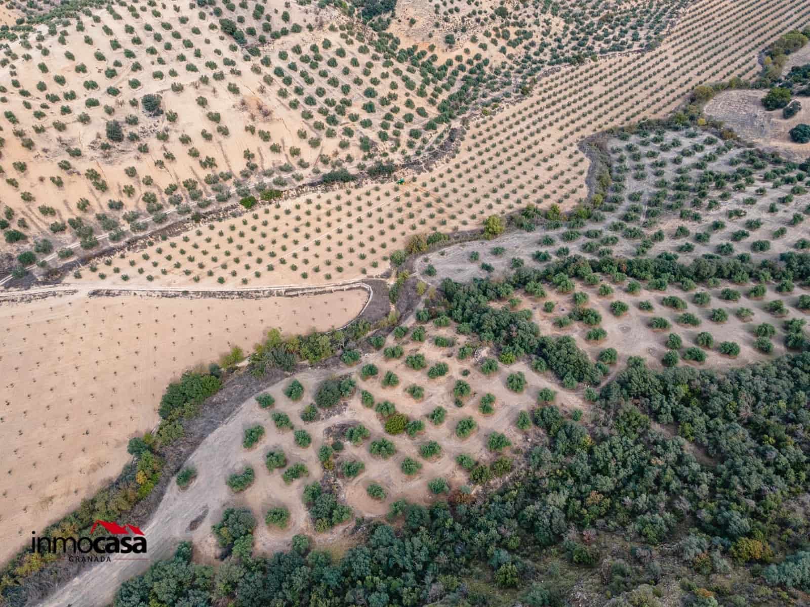 Teren niezagospodarowany na sprzedaż w Illora - 199 900 € (Ref: 9379227)