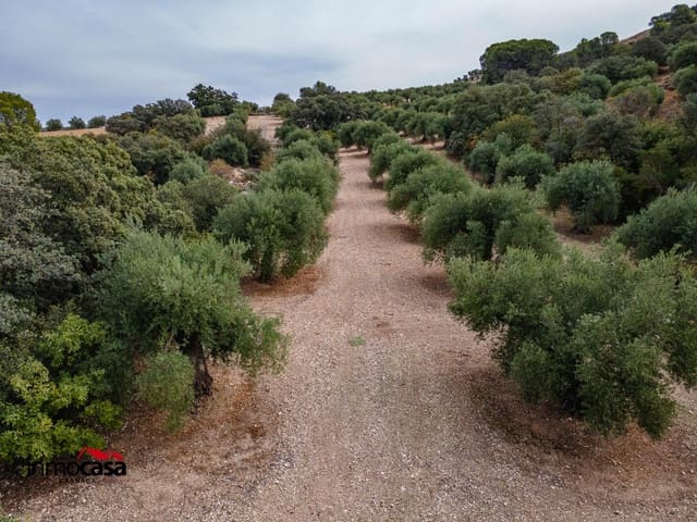 Grunde uden byggetilladelser til salg i Illora - € 199.900 (Ref: 9379227)