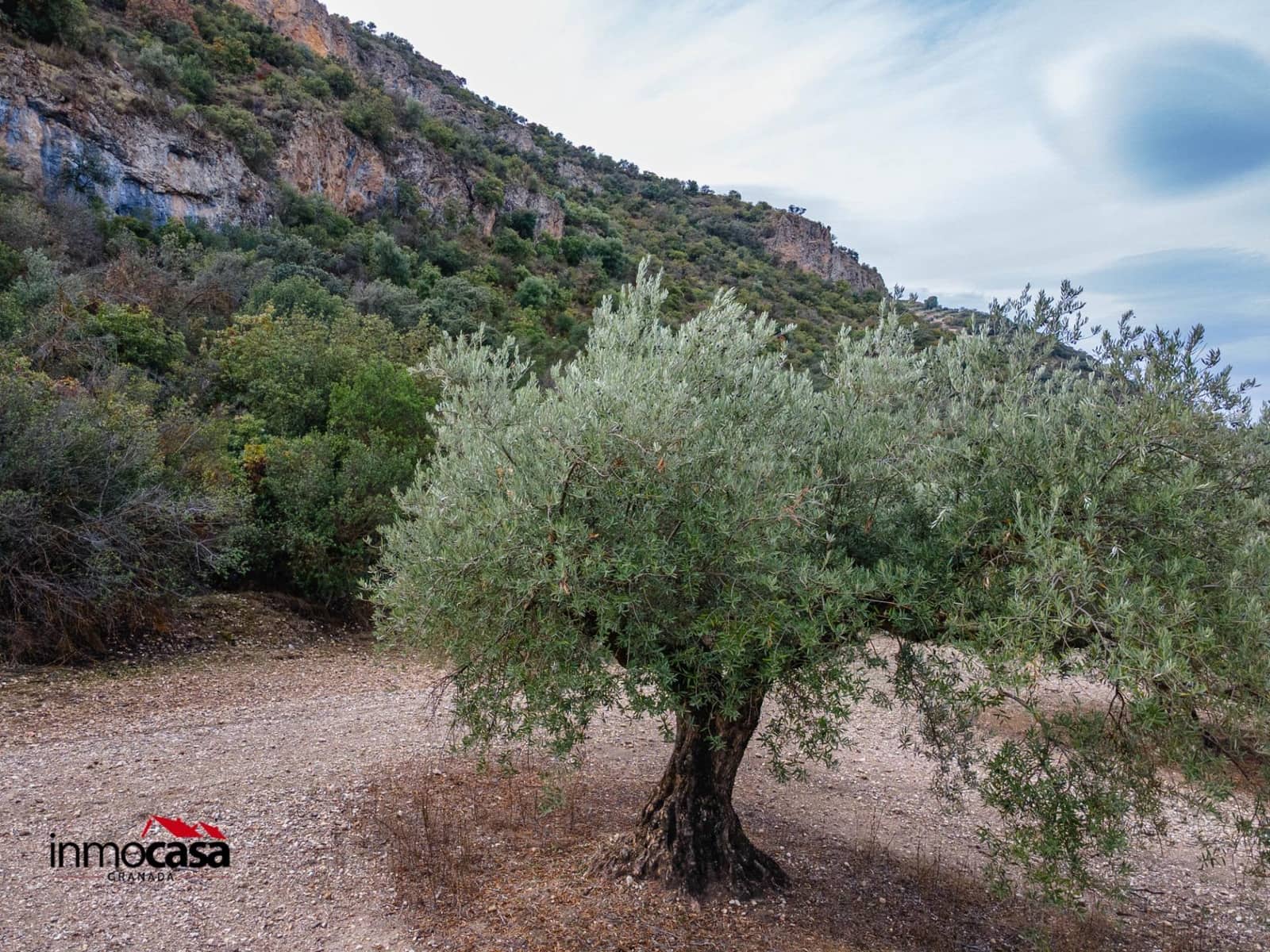 Teren niezagospodarowany na sprzedaż w Illora - 199 900 € (Ref: 9379227)