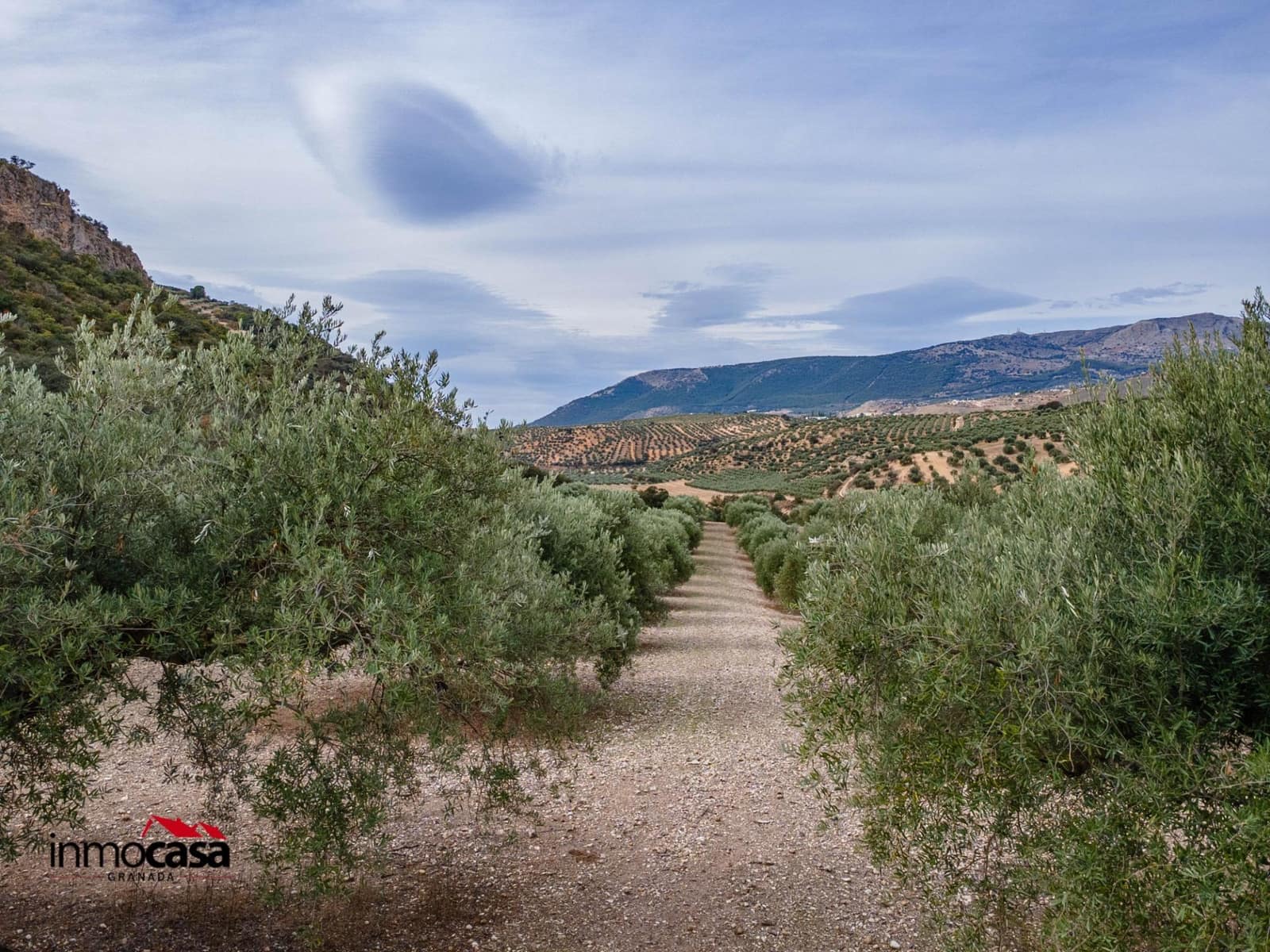 Teren niezagospodarowany na sprzedaż w Illora - 199 900 € (Ref: 9379227)