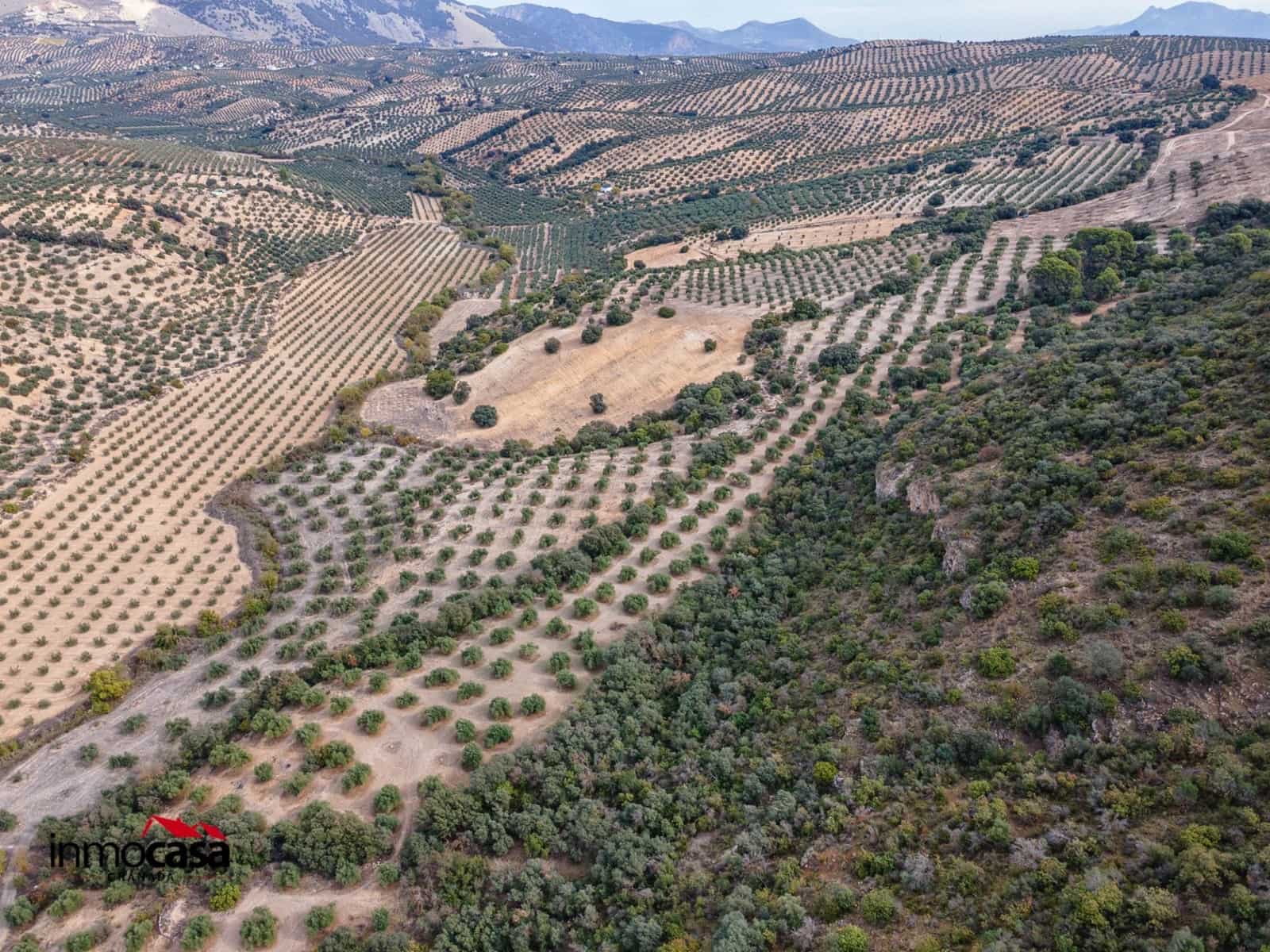 Teren niezagospodarowany na sprzedaż w Illora - 199 900 € (Ref: 9379227)