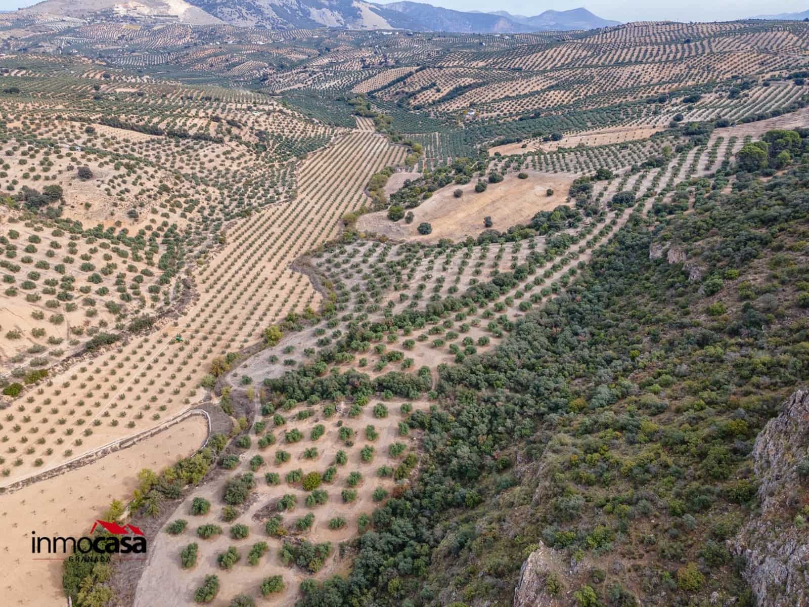 Teren niezagospodarowany na sprzedaż w Illora - 199 900 € (Ref: 9379227)