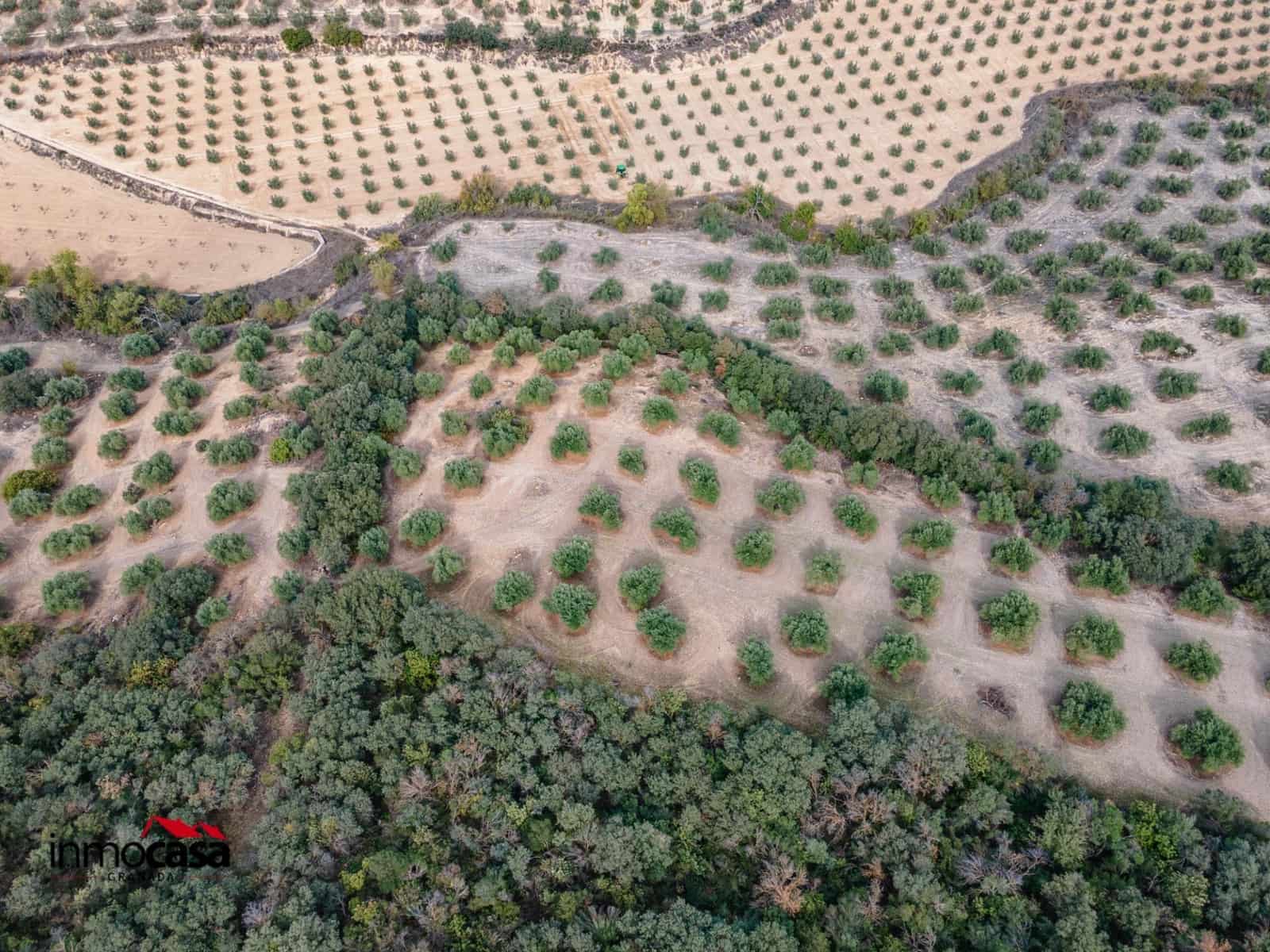 Teren niezagospodarowany na sprzedaż w Illora - 199 900 € (Ref: 9379227)