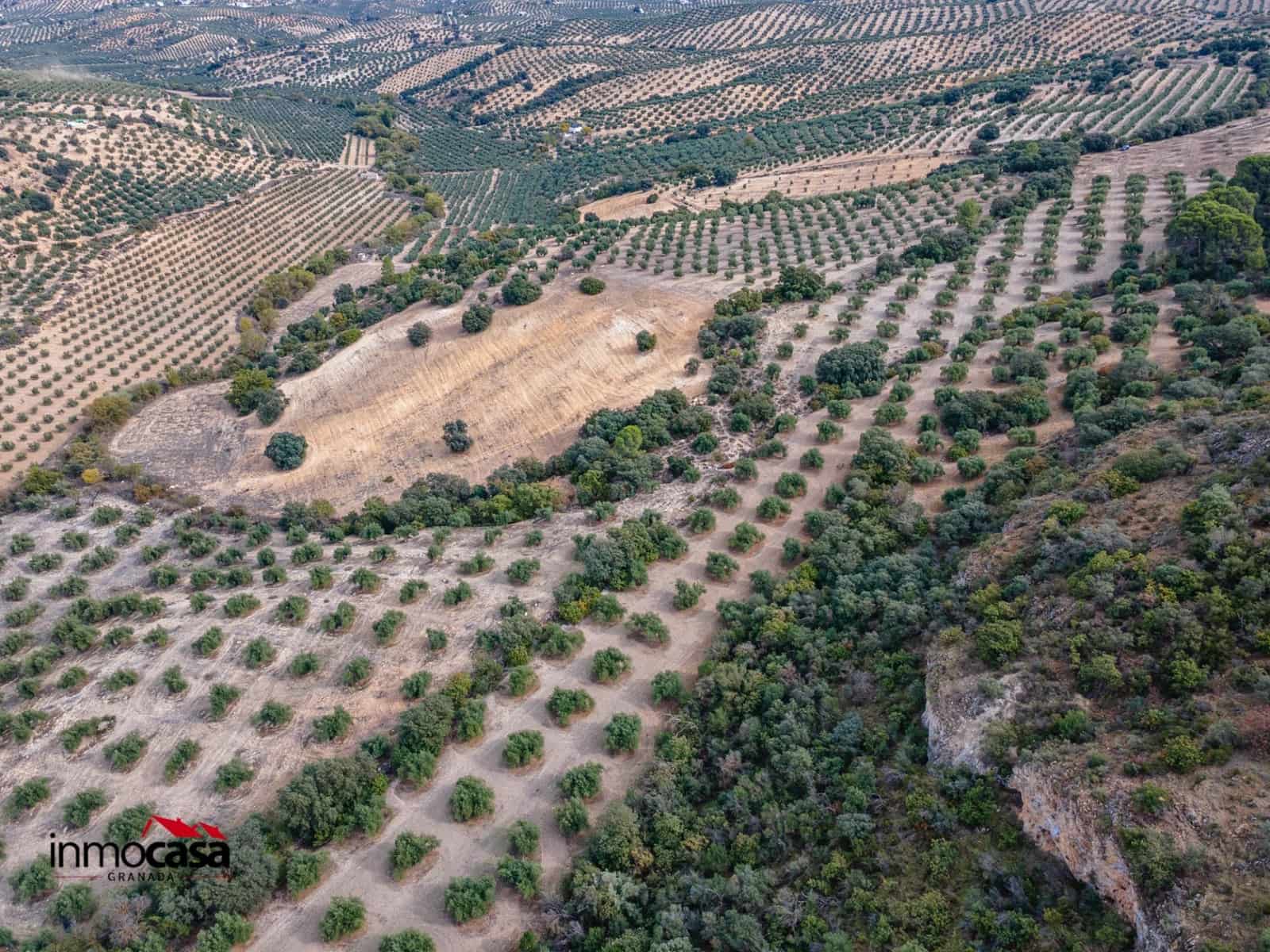 Teren niezagospodarowany na sprzedaż w Illora - 199 900 € (Ref: 9379227)