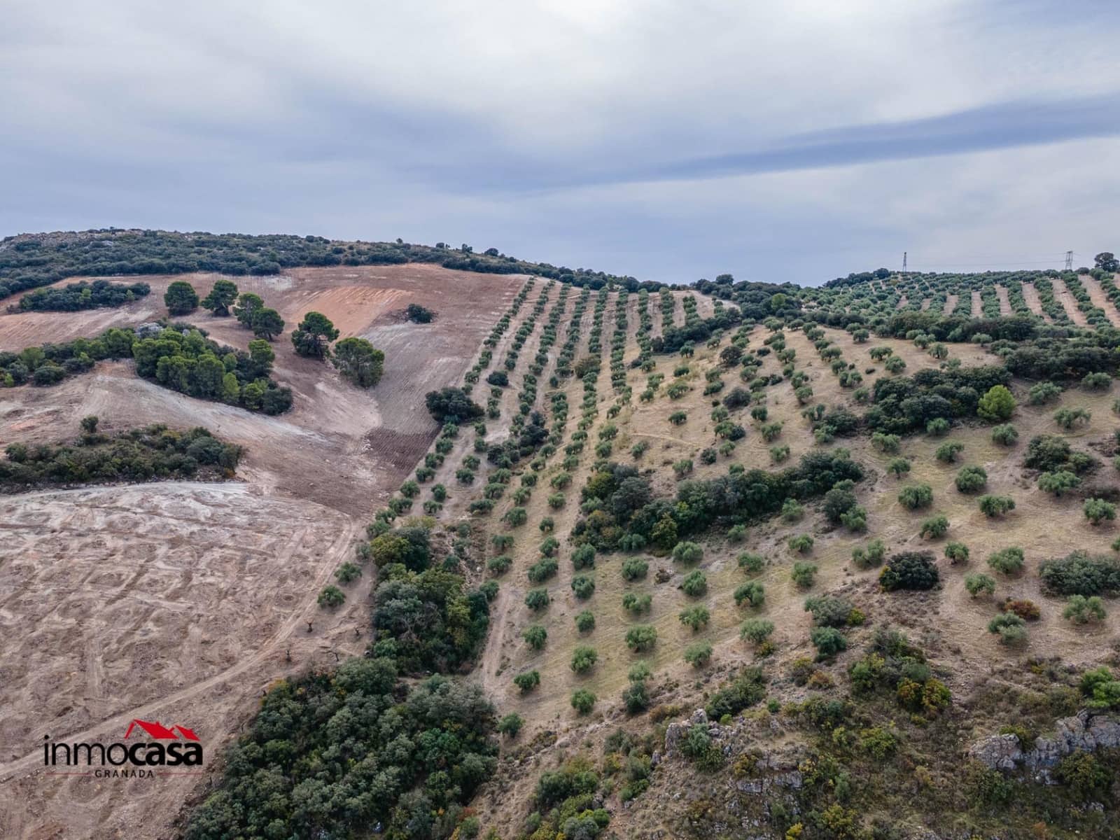 Teren niezagospodarowany na sprzedaż w Illora - 199 900 € (Ref: 9379227)