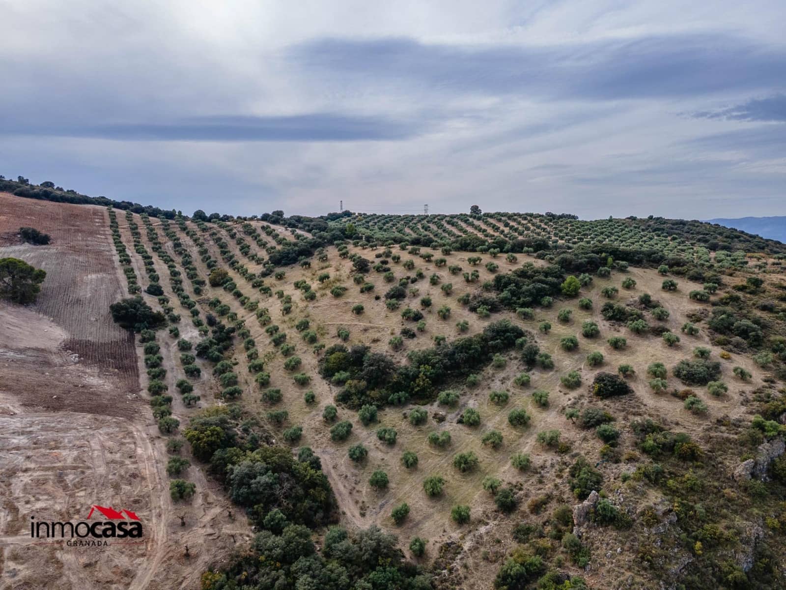 Teren niezagospodarowany na sprzedaż w Illora - 199 900 € (Ref: 9379227)