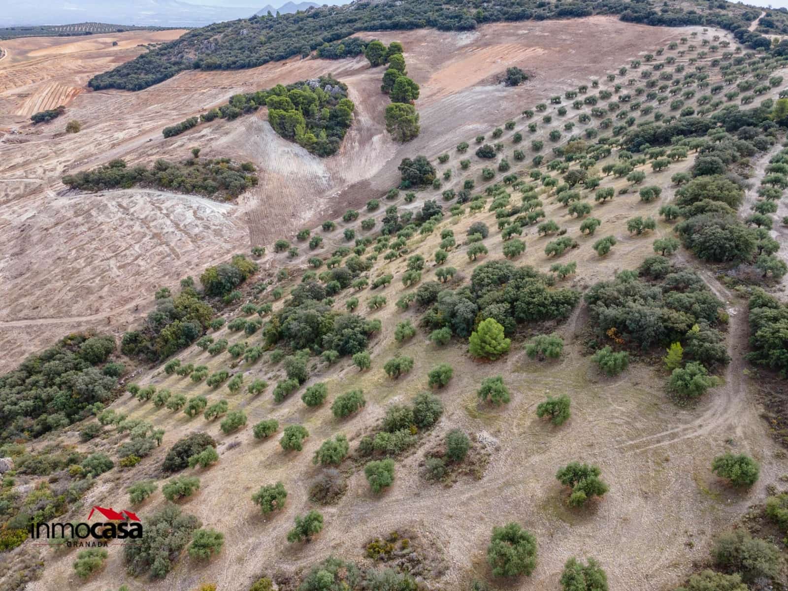 Teren niezagospodarowany na sprzedaż w Illora - 199 900 € (Ref: 9379227)