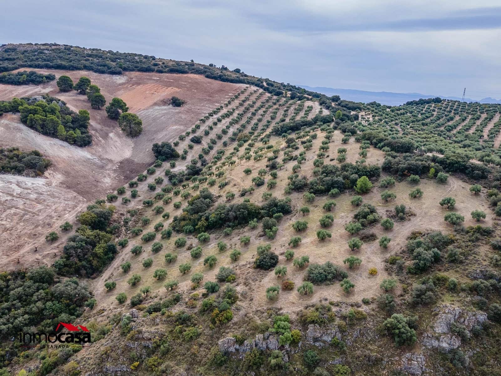 Teren niezagospodarowany na sprzedaż w Illora - 199 900 € (Ref: 9379227)