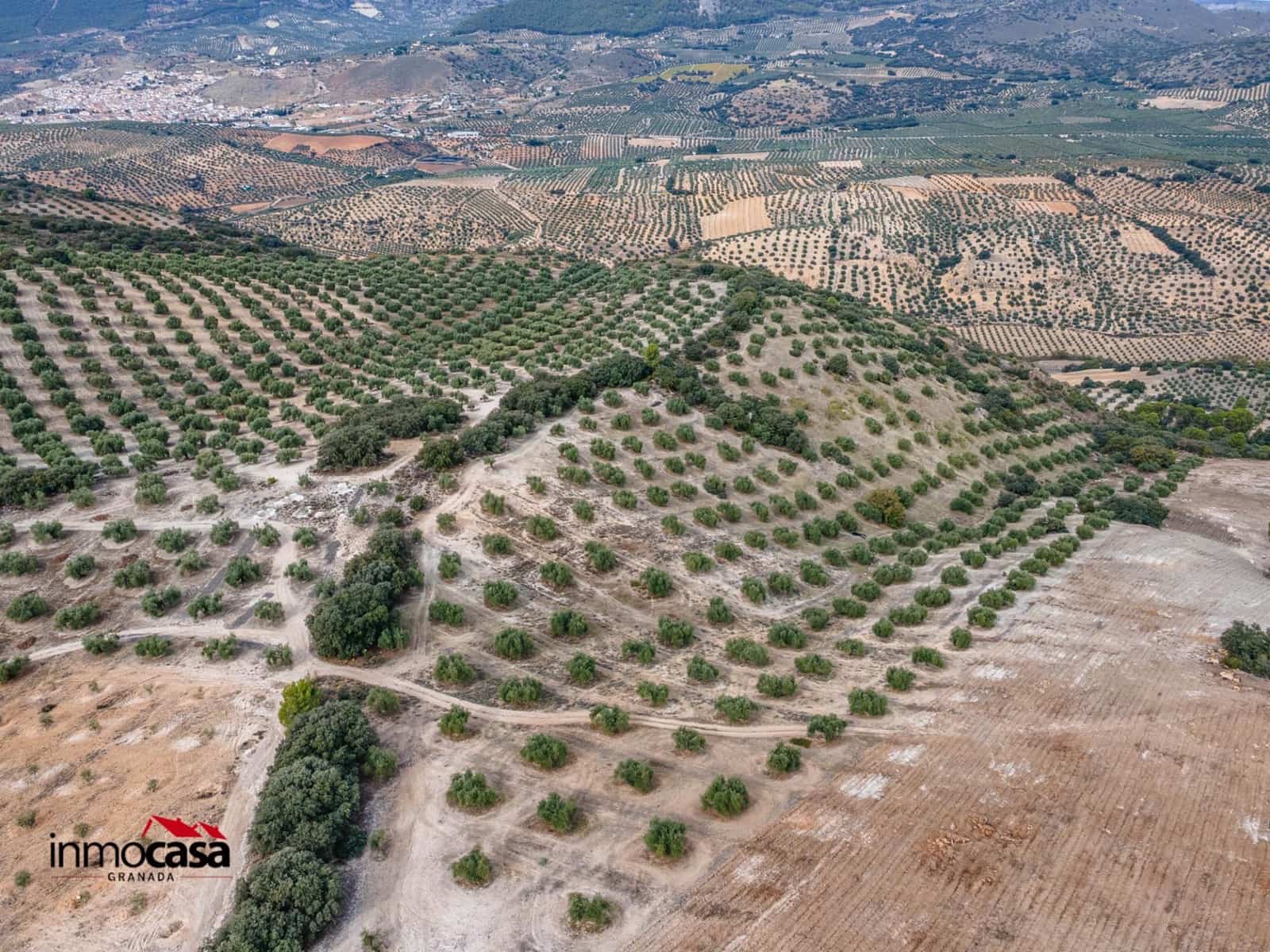 Teren niezagospodarowany na sprzedaż w Illora - 199 900 € (Ref: 9379227)