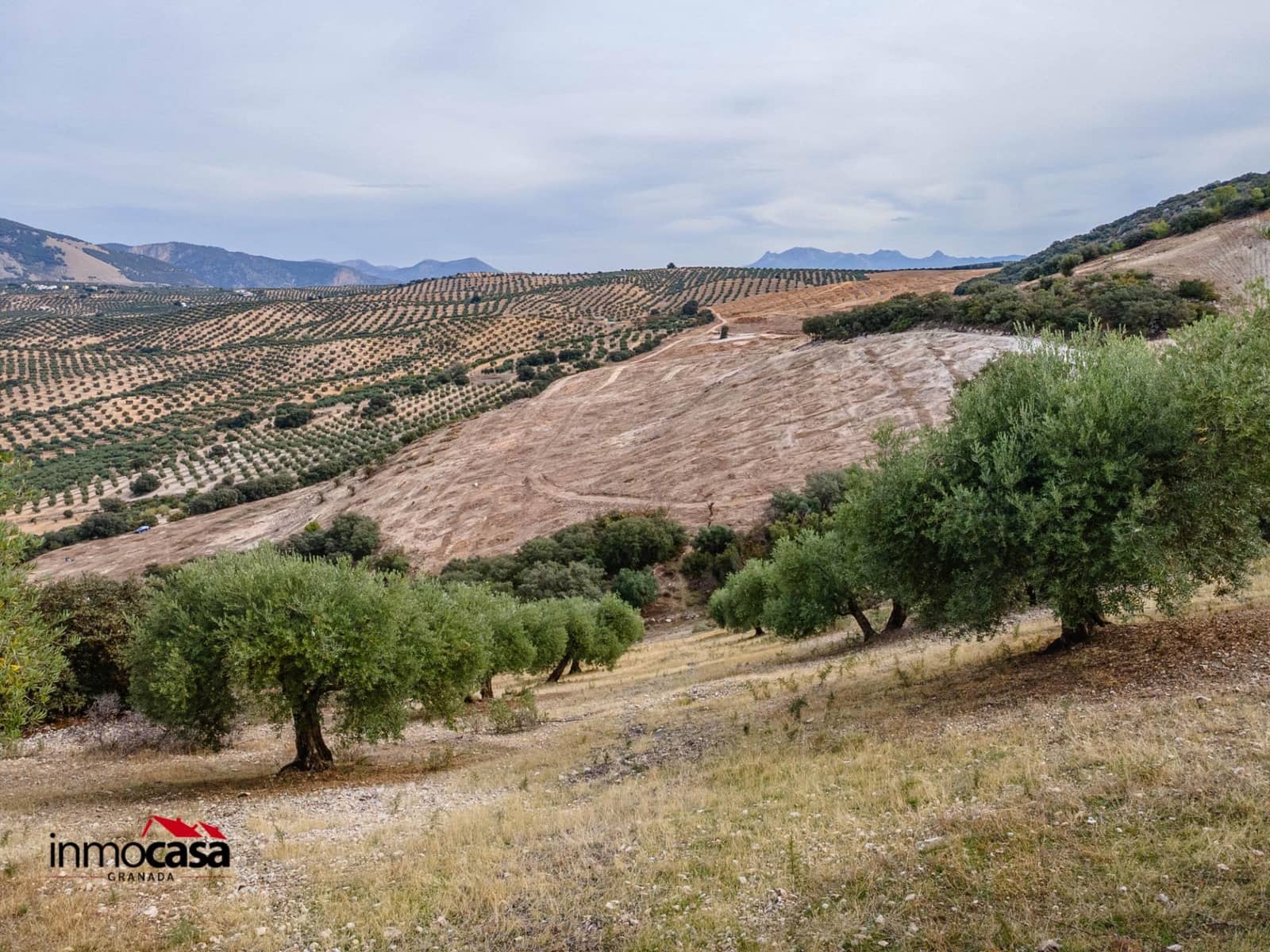 Teren niezagospodarowany na sprzedaż w Illora - 199 900 € (Ref: 9379227)