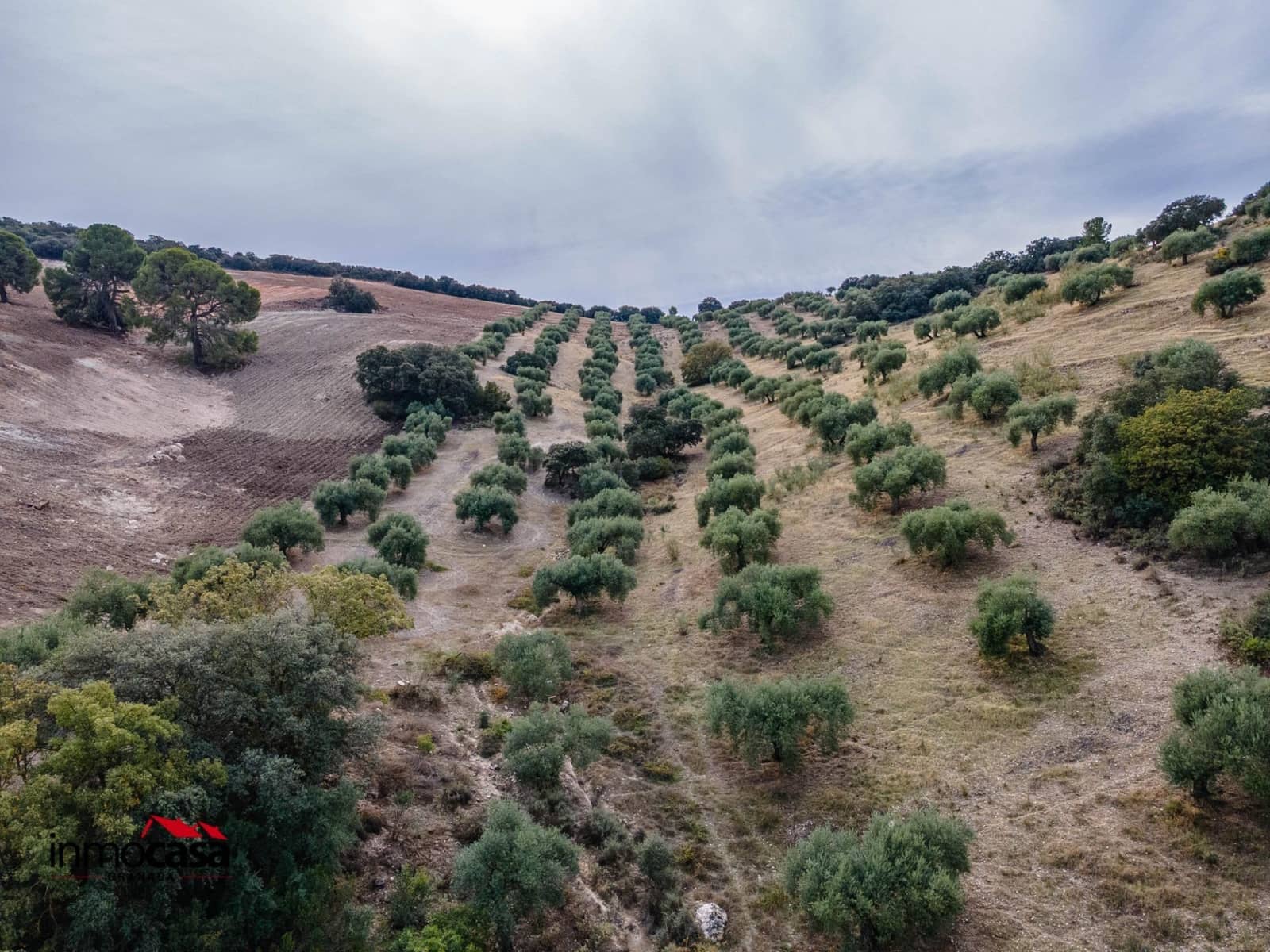 Teren niezagospodarowany na sprzedaż w Illora - 199 900 € (Ref: 9379227)