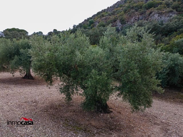 Grunde uden byggetilladelser til salg i Illora - € 199.900 (Ref: 9379227)