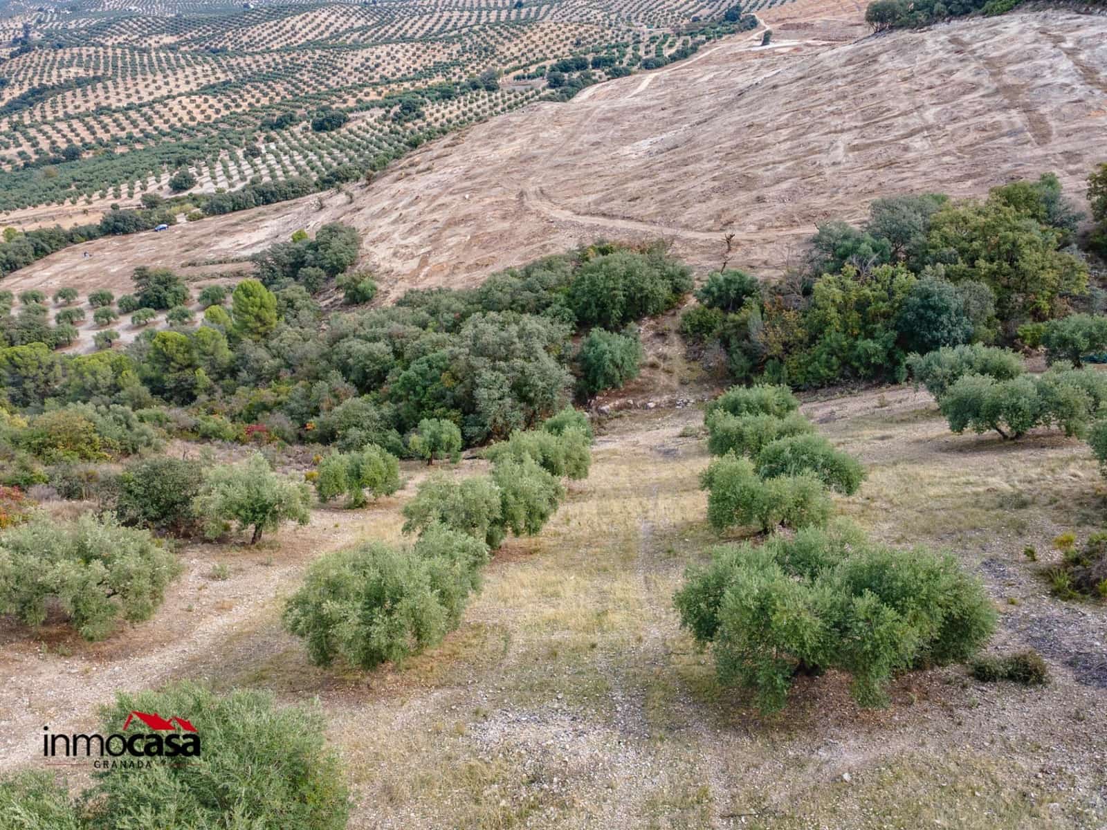 Teren niezagospodarowany na sprzedaż w Illora - 199 900 € (Ref: 9379227)