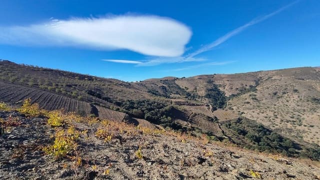 Terre non Aménagée à vendre à Cástaras - 150 000 € (Ref: 9446507)