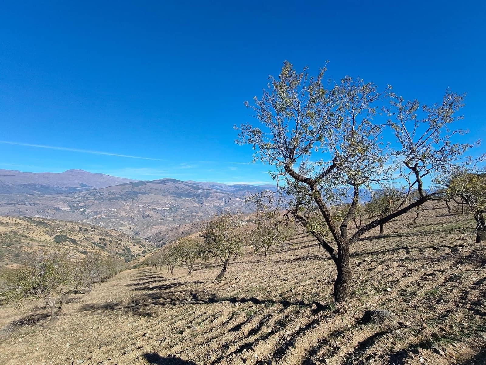 Ubebygd land til salgs i Castaras - € 150 000 (Ref: 9446507)