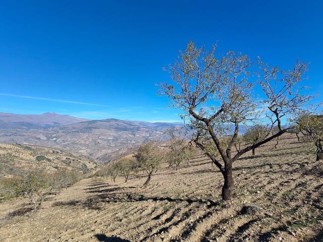 Terre non Aménagée à vendre à Cástaras - 150 000 € (Ref: 9446507)