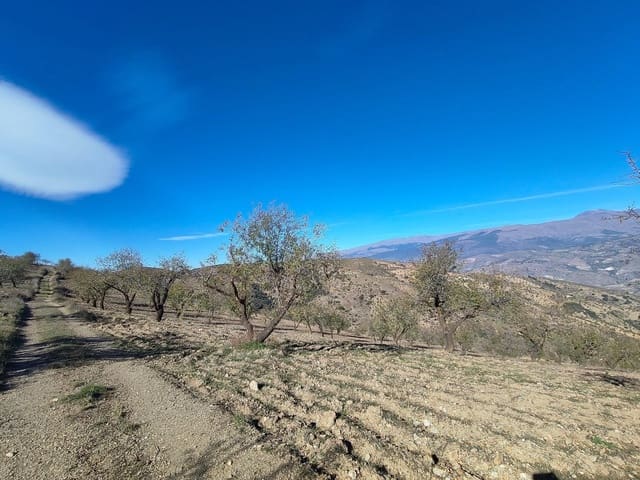 Terre non Aménagée à vendre à Cástaras - 150 000 € (Ref: 9446507)