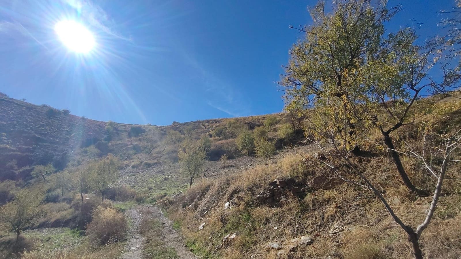 Ubebygd land til salgs i Castaras - € 150 000 (Ref: 9446507)