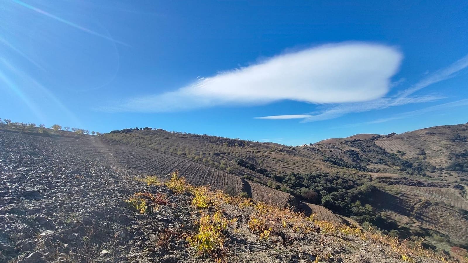 Ubebygd land til salgs i Castaras - € 150 000 (Ref: 9446507)