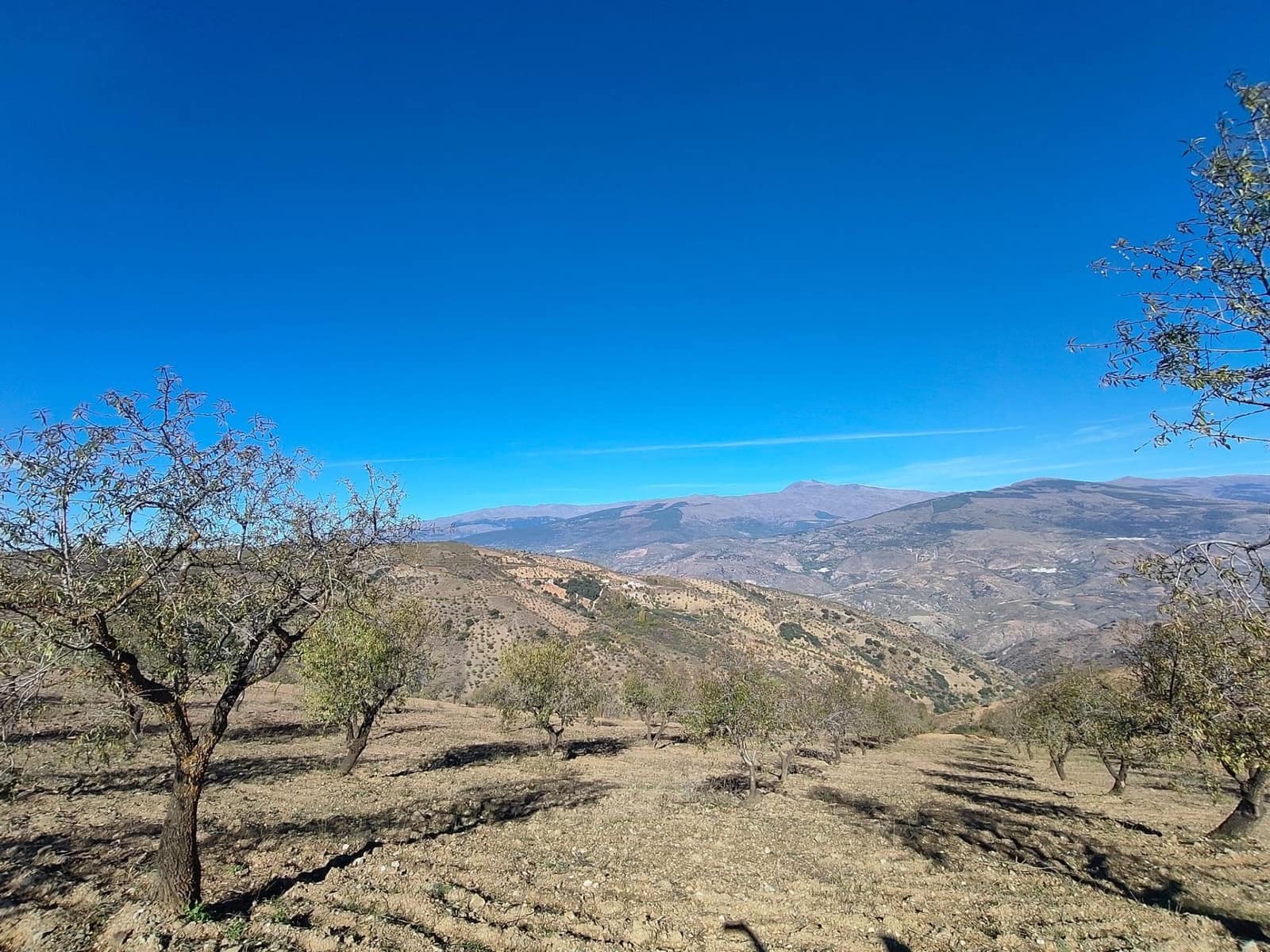 Ubebygd land til salgs i Castaras - € 150 000 (Ref: 9446507)