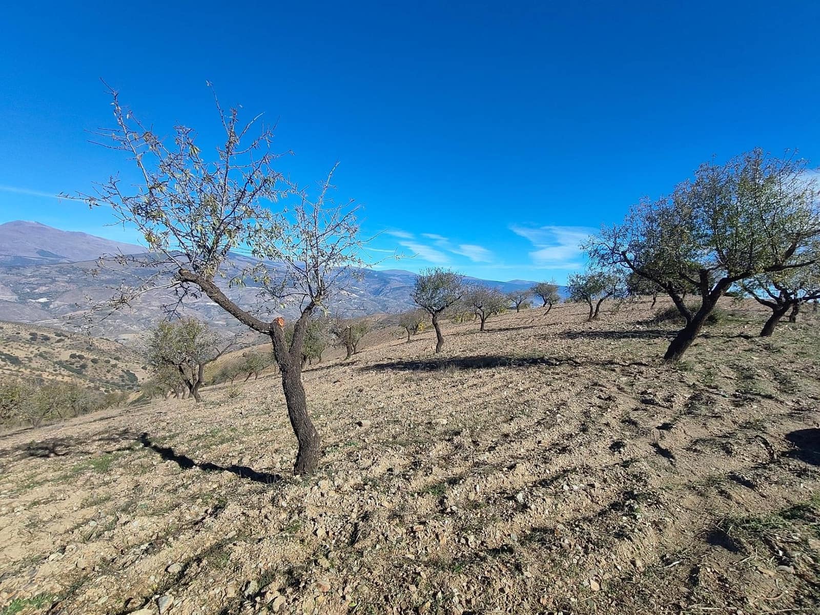 Ubebygd land til salgs i Castaras - € 150 000 (Ref: 9446507)