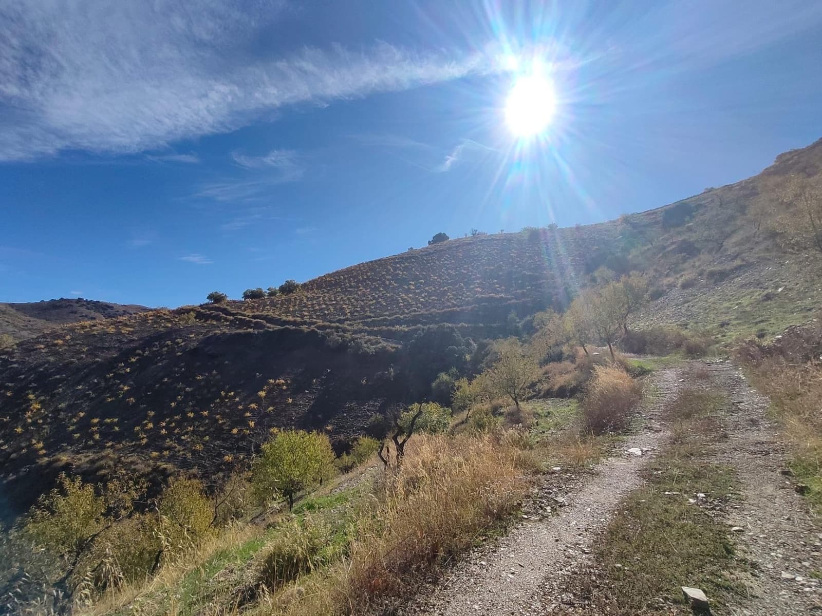 Ubebygd land til salgs i Castaras - € 150 000 (Ref: 9446507)