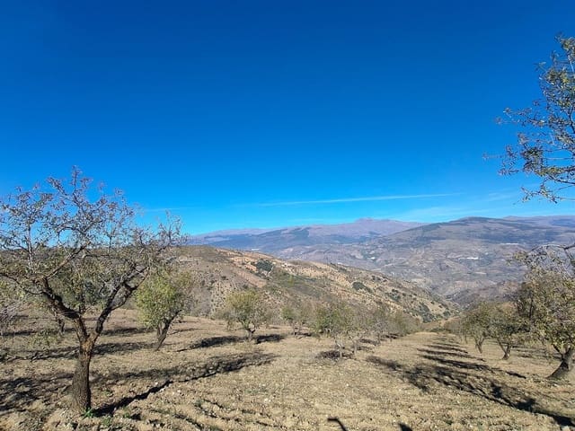 Terre non Aménagée à vendre à Cástaras - 150 000 € (Ref: 9446507)