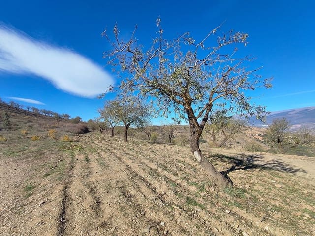 Terre non Aménagée à vendre à Cástaras - 150 000 € (Ref: 9446507)