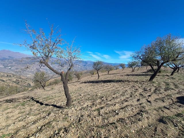 Terre non Aménagée à vendre à Cástaras - 150 000 € (Ref: 9446507)