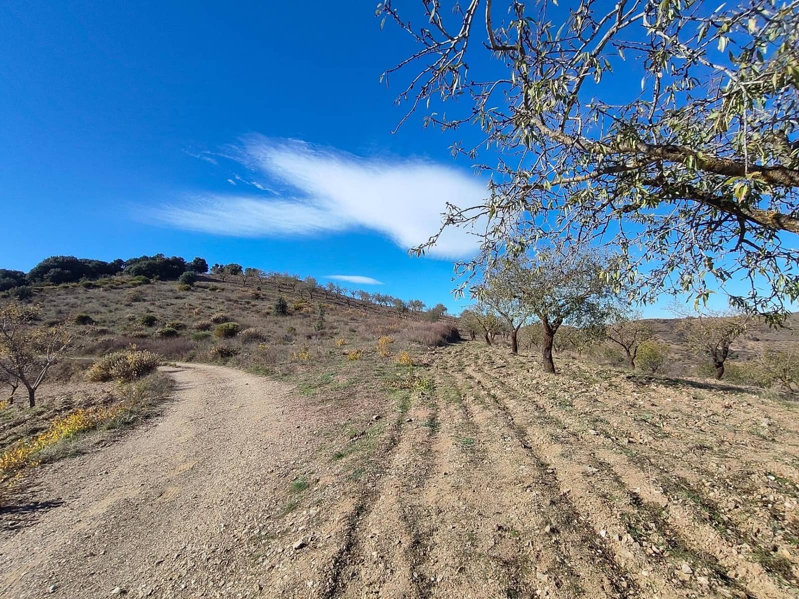 Ubebygd land til salgs i Castaras - € 150 000 (Ref: 9446507)