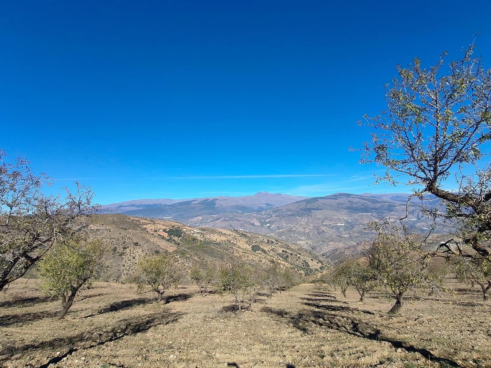 Ubebygd land til salgs i Castaras - € 150 000 (Ref: 9446507)