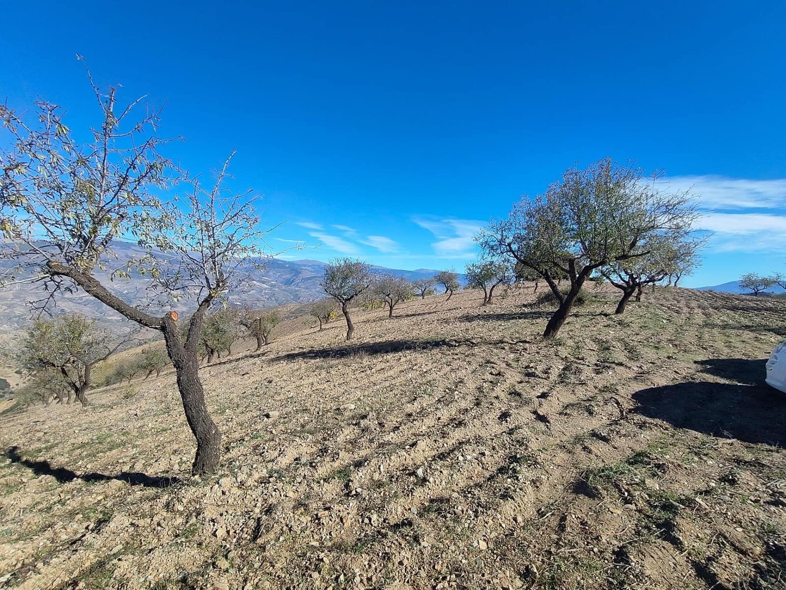 Ubebygd land til salgs i Castaras - € 150 000 (Ref: 9446507)