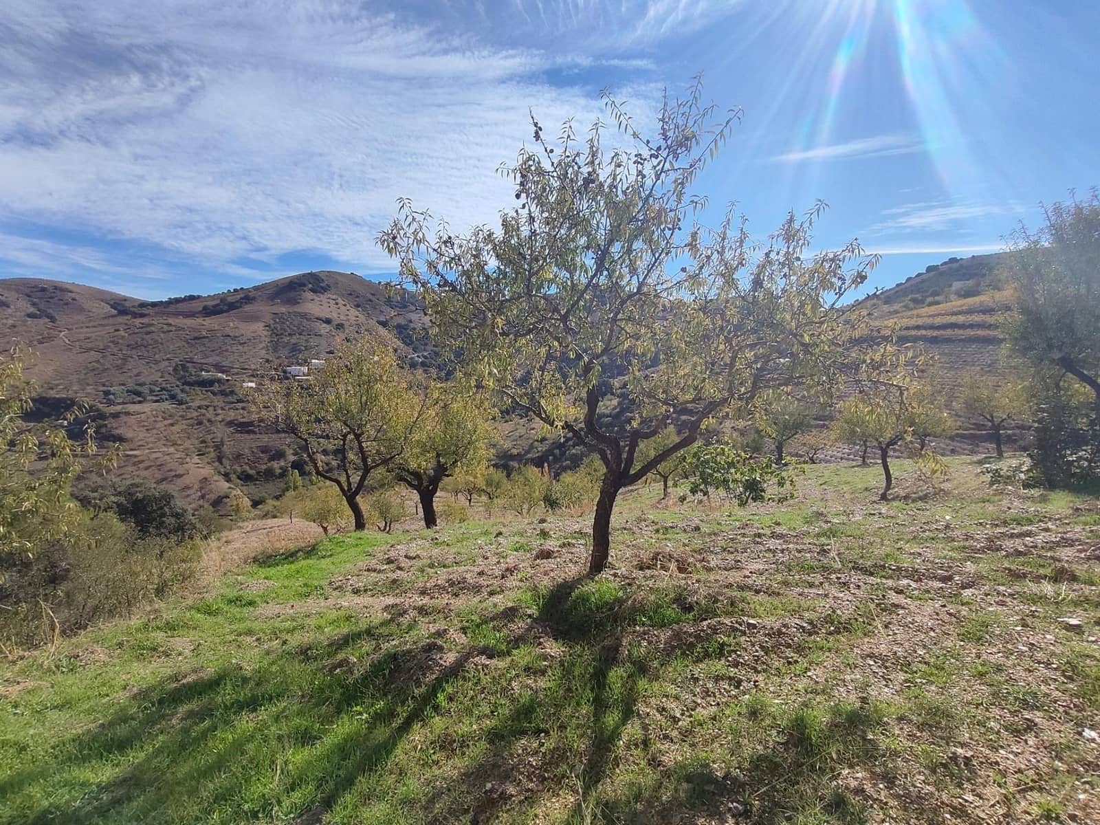 Ubebygd land til salgs i Castaras - € 150 000 (Ref: 9446507)