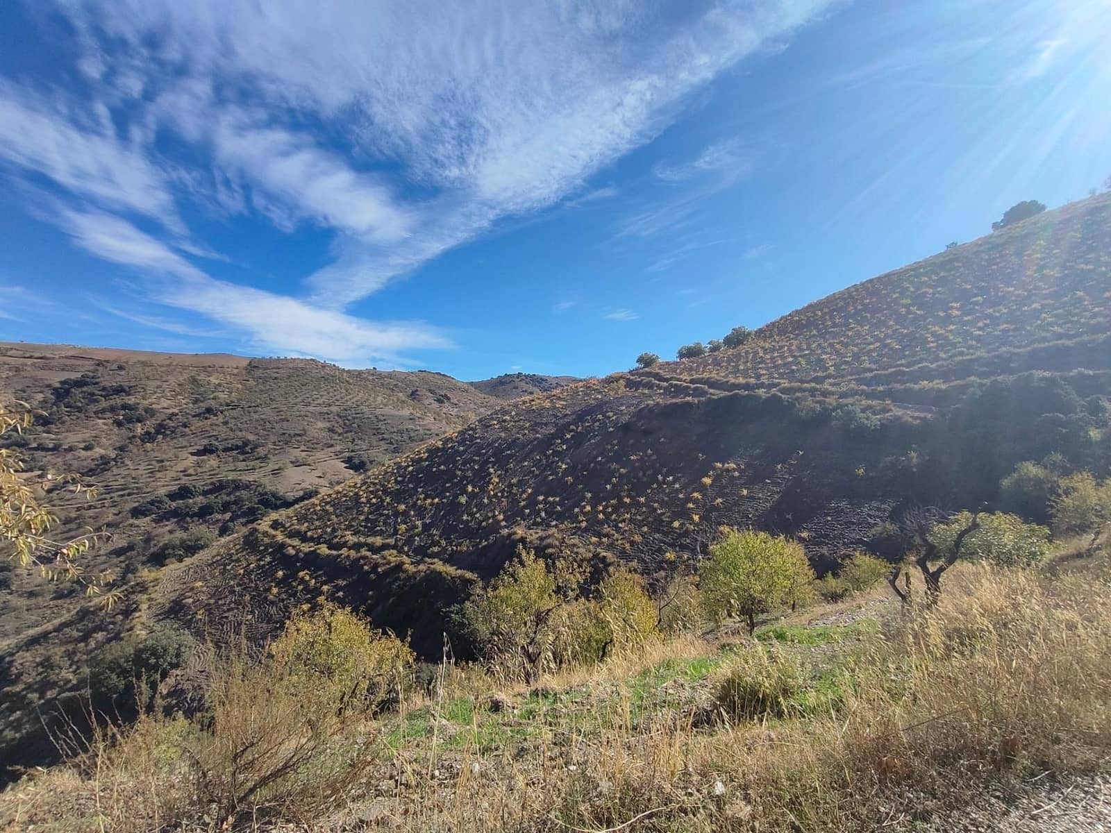 Ubebygd land til salgs i Castaras - € 150 000 (Ref: 9446507)