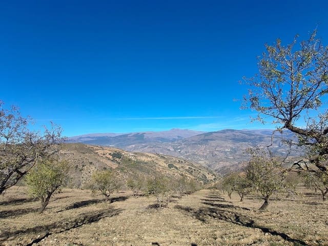 Terre non Aménagée à vendre à Cástaras - 150 000 € (Ref: 9446507)