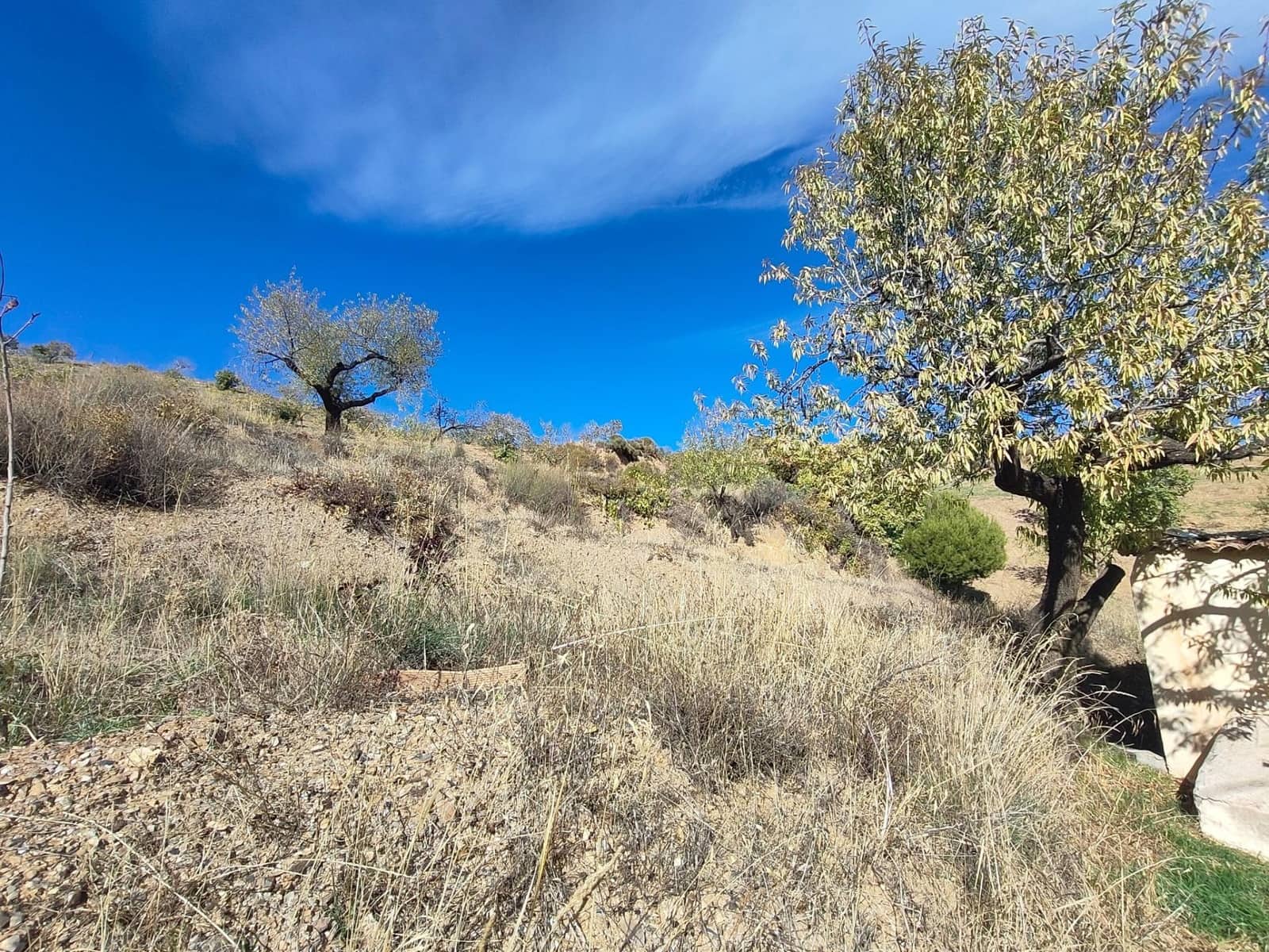 Ubebygd land til salgs i Castaras - € 150 000 (Ref: 9446507)