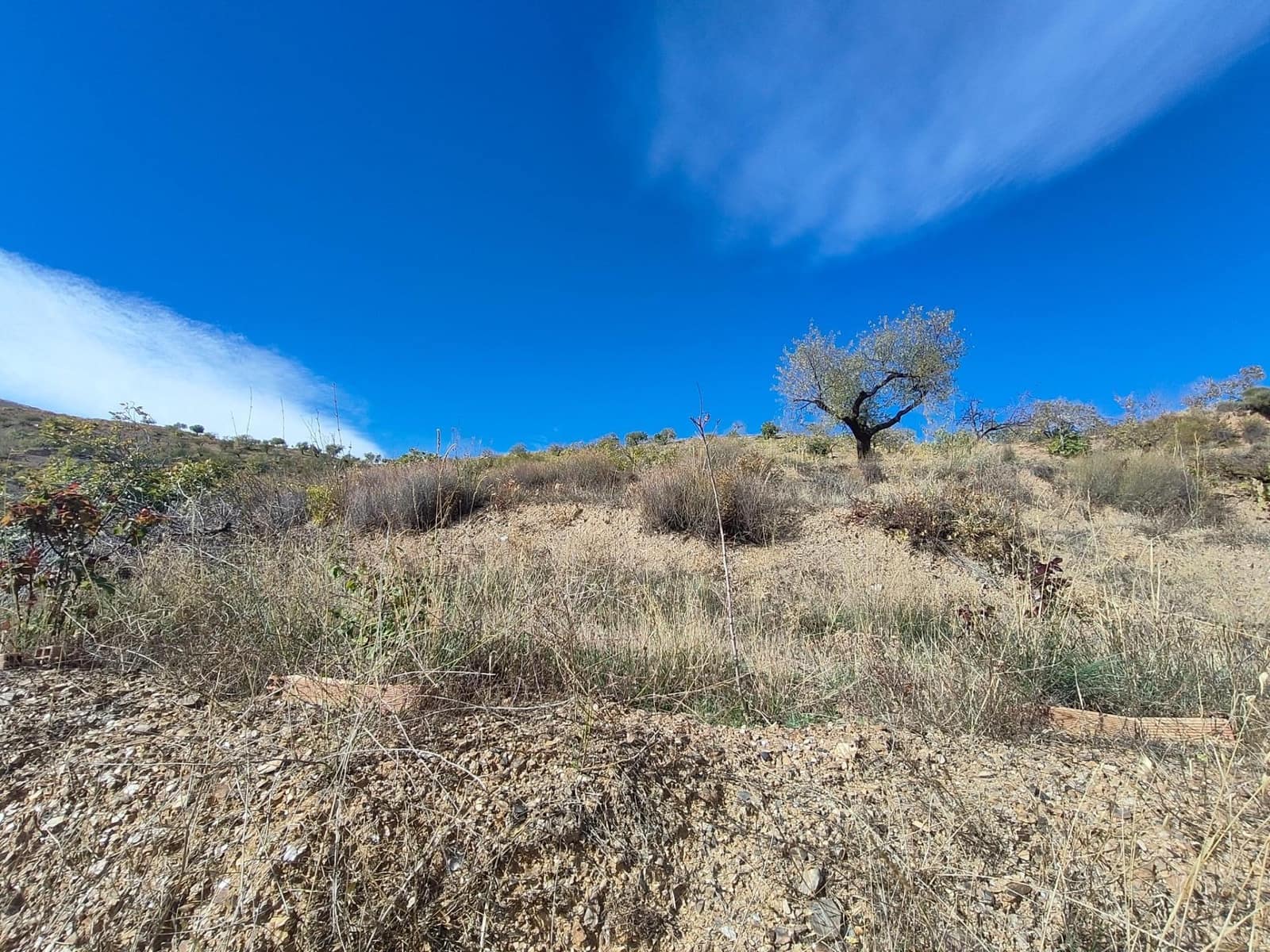 Ubebygd land til salgs i Castaras - € 150 000 (Ref: 9446507)