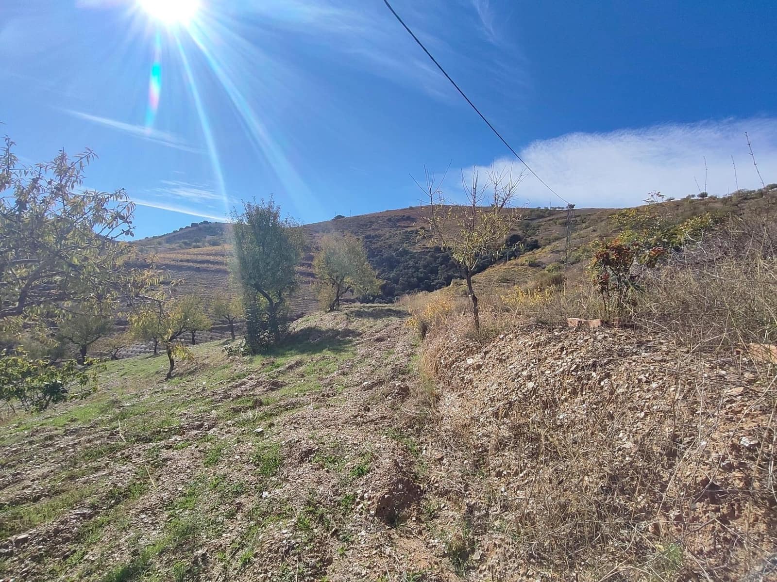 Ubebygd land til salgs i Castaras - € 150 000 (Ref: 9446507)