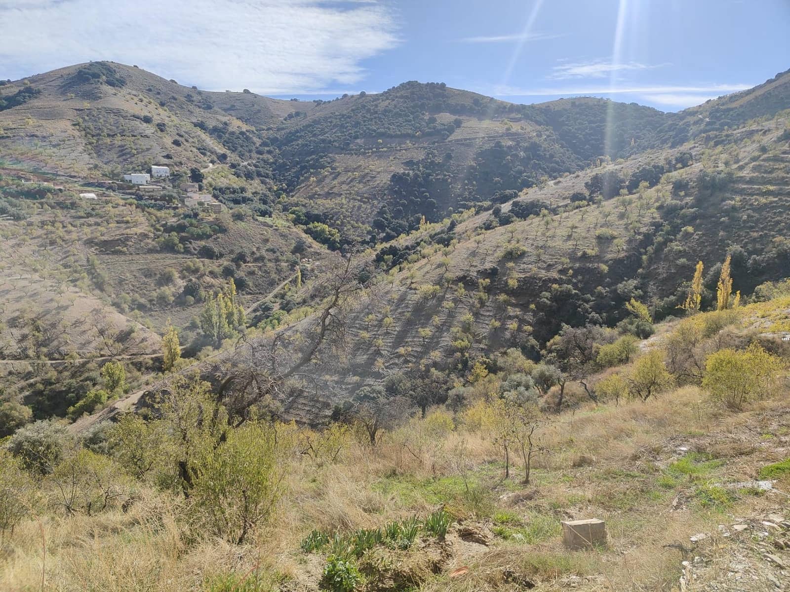 Ubebygd land til salgs i Castaras - € 150 000 (Ref: 9446507)