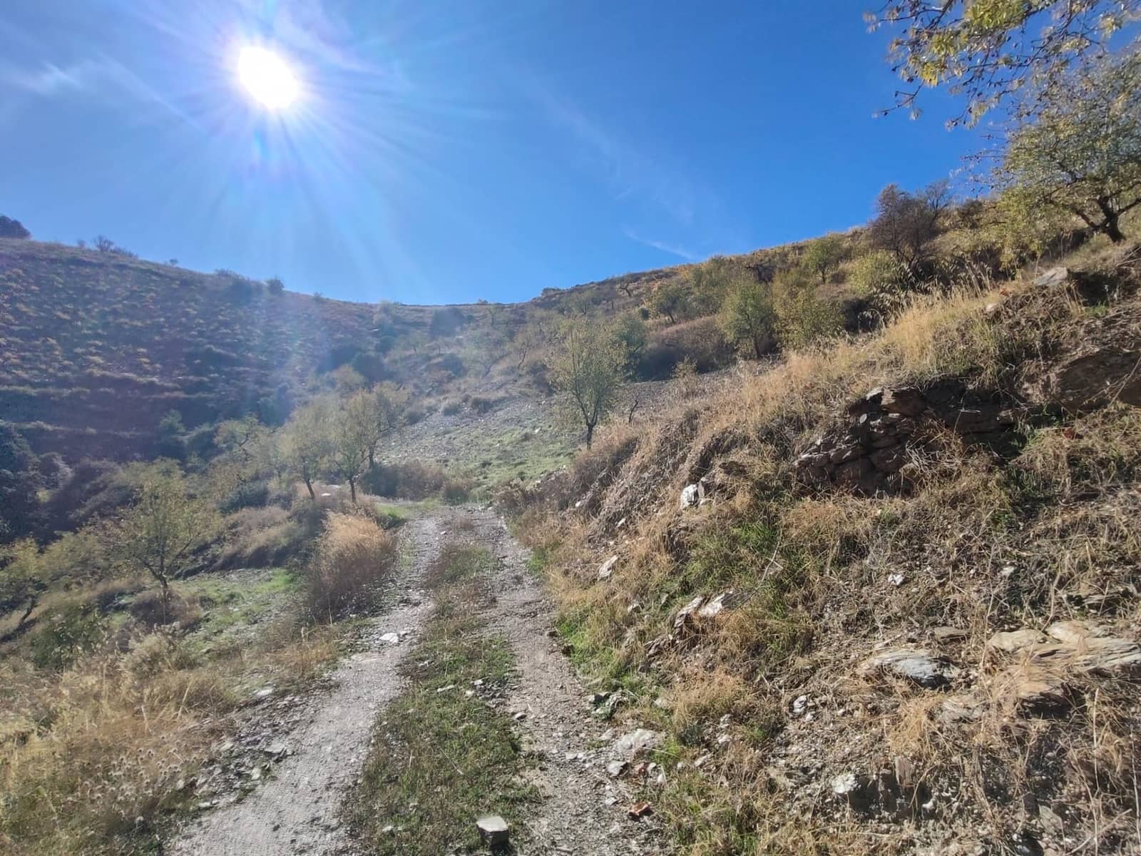 Ubebygd land til salgs i Castaras - € 150 000 (Ref: 9446507)