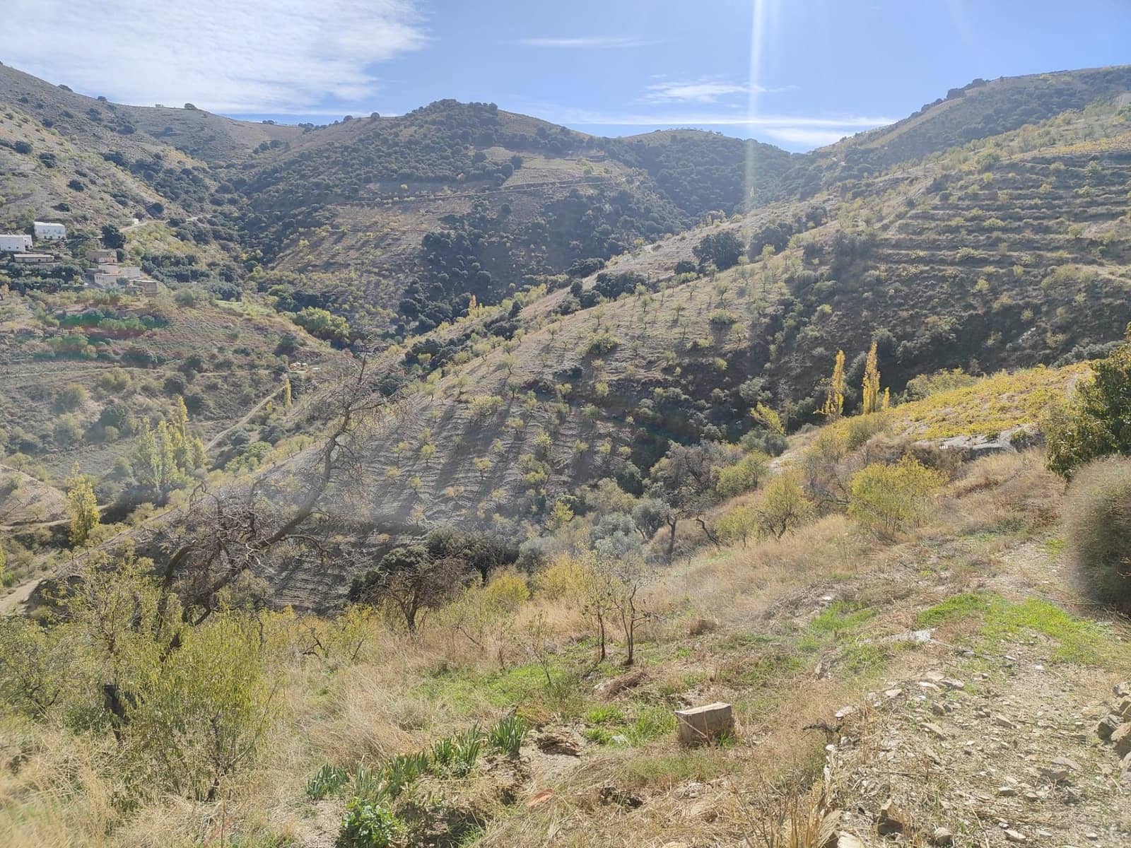 Ubebygd land til salgs i Castaras - € 150 000 (Ref: 9446507)