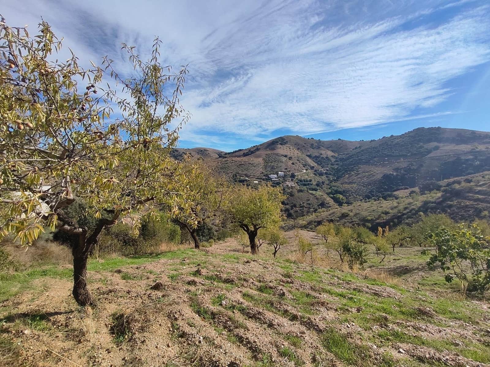 Ubebygd land til salgs i Castaras - € 150 000 (Ref: 9446507)